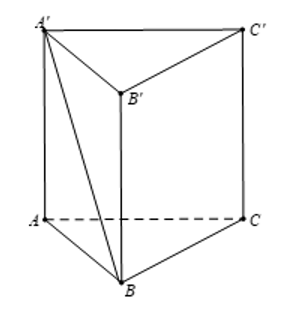 1684858894126.png