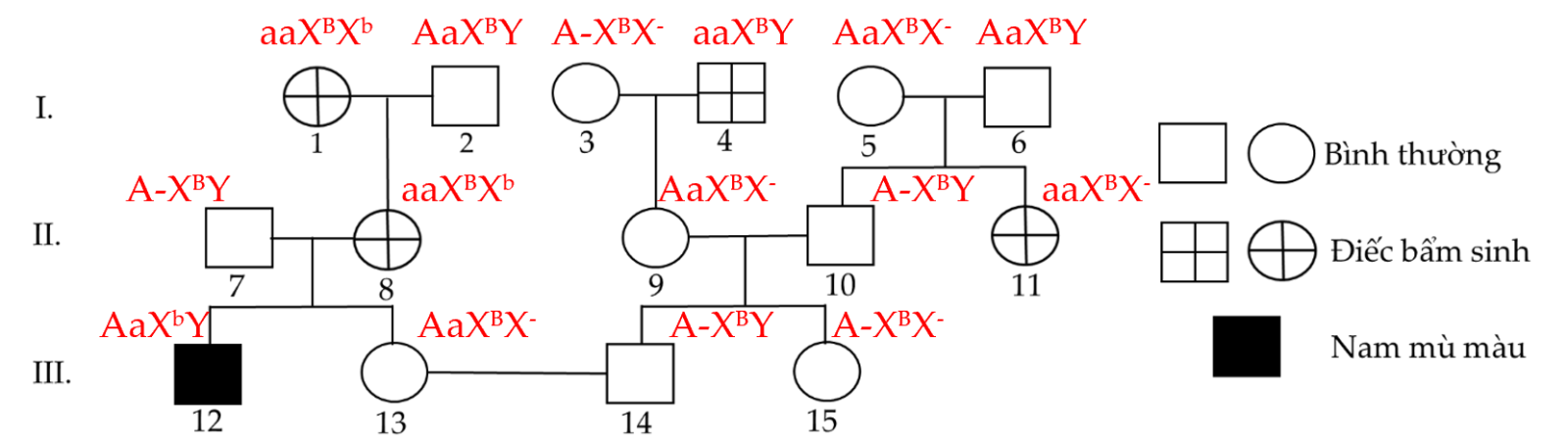 1685353296110.png