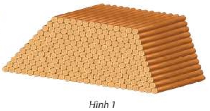 1685601513.jpg