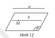 1686630426.png