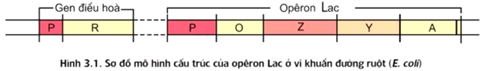 1686712253486.png