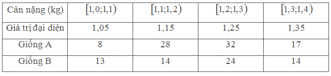 1691211136834.png