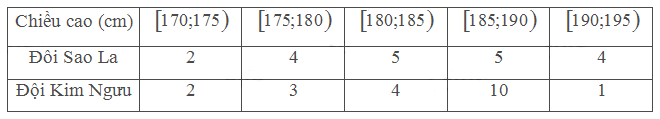 1691233505207.png