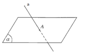1691667005715.png