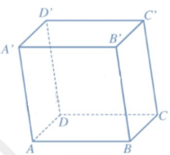 1691763977686.png