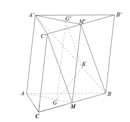 1691765221739.png