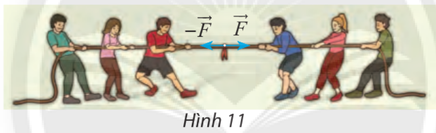 33_1.png