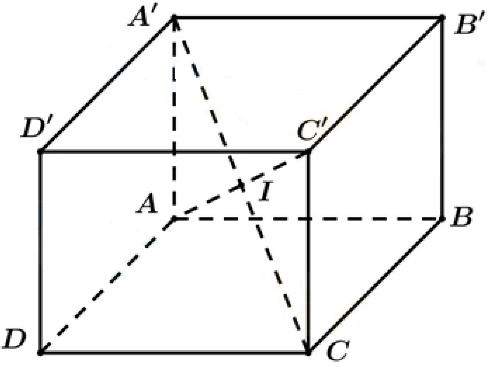 image1.jpg