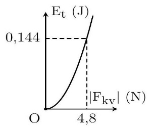 image1.jpg