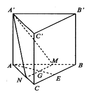 image1.png