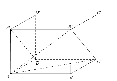 image1.png