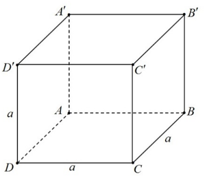 image1.png