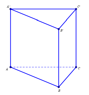 image1.png