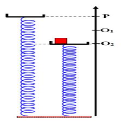image1.png