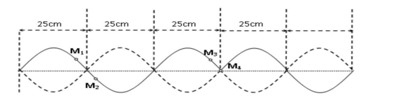 image1.png