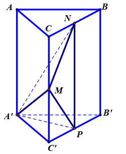 image1.png