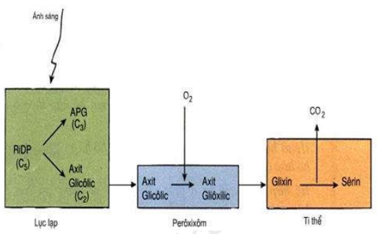 image1.png