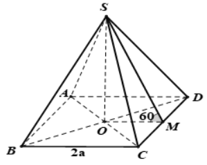image1.png