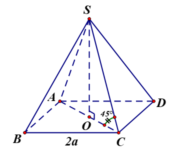 image1.png