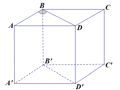 image1.png