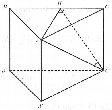 image10.jpg