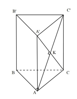 image10.png