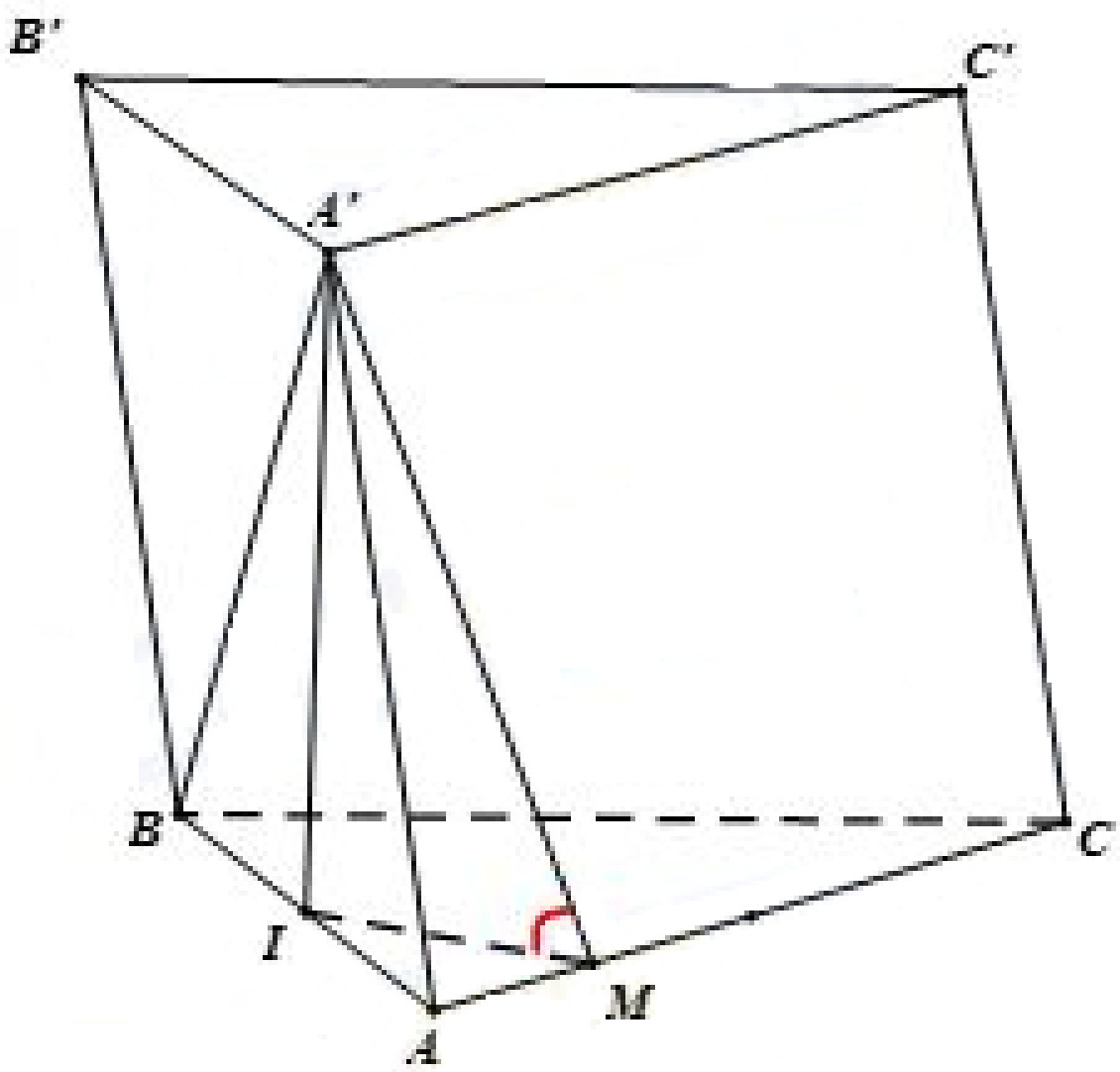 image10.png