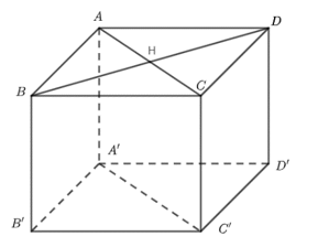 image10.png