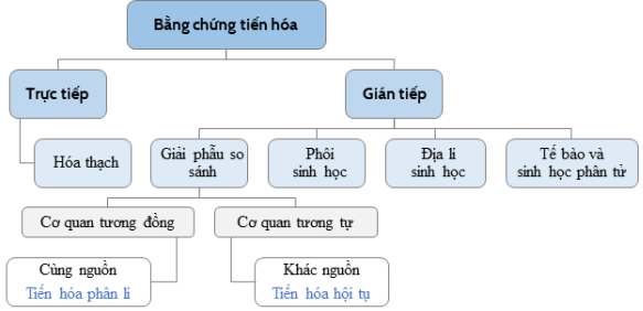 image10.png