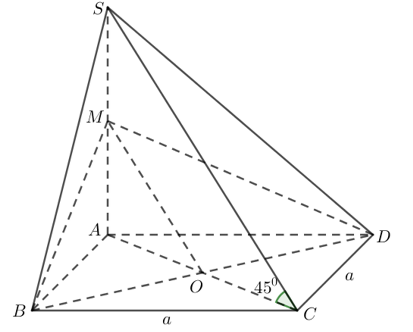 image10.png