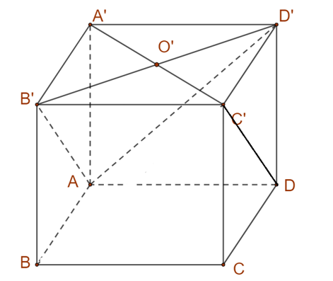 image10.png