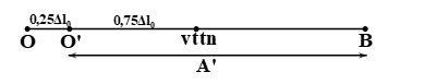 image10.png