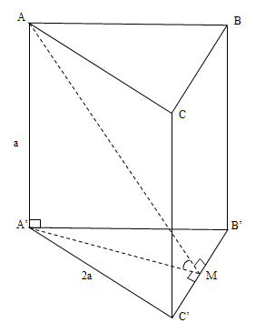 image10.png