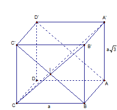 image10.png