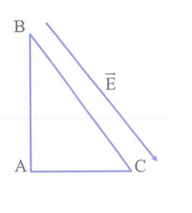 image10.png
