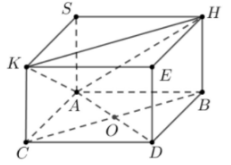 image10.png