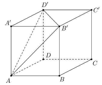 image10.png
