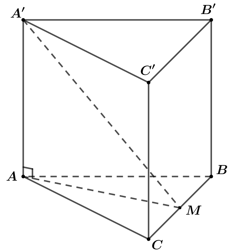 image10.png