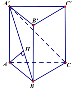 image10.png
