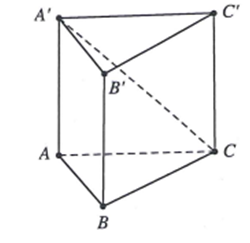 image10.png