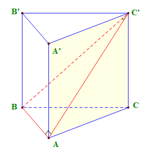 image10.png