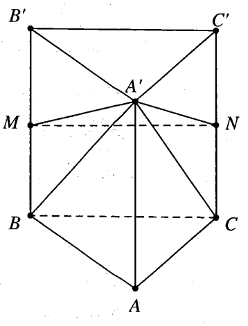 image10.png