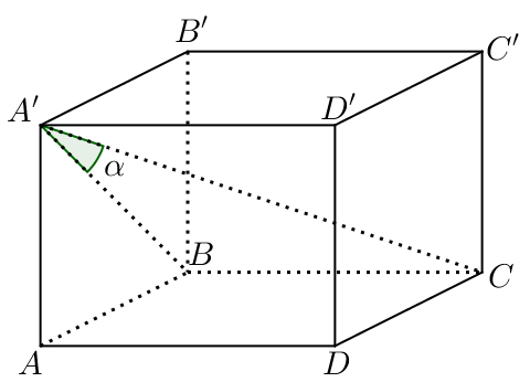 image10.png