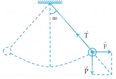 image10.png