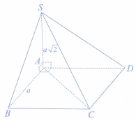 image10.png