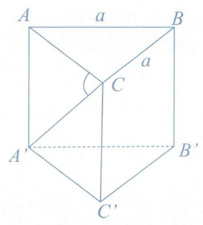 image10.png