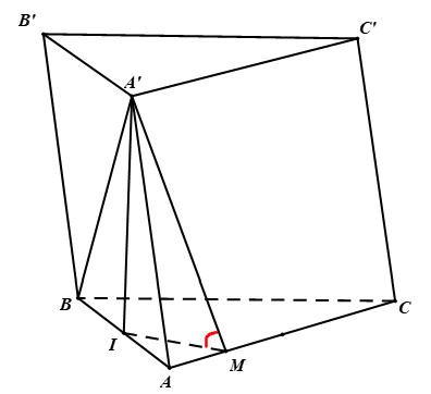 image10.png