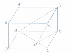 image10.png