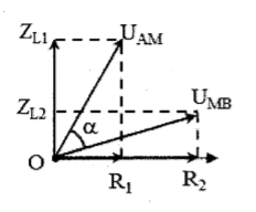 image10.png