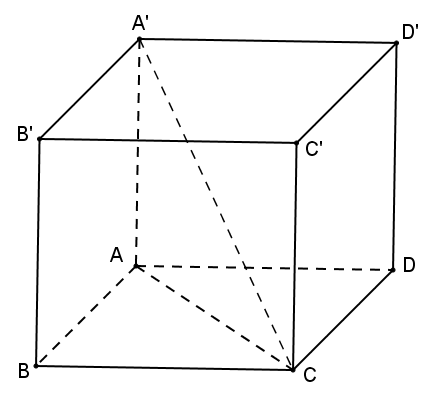 image10.png